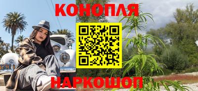 прущие грибы Ижевск