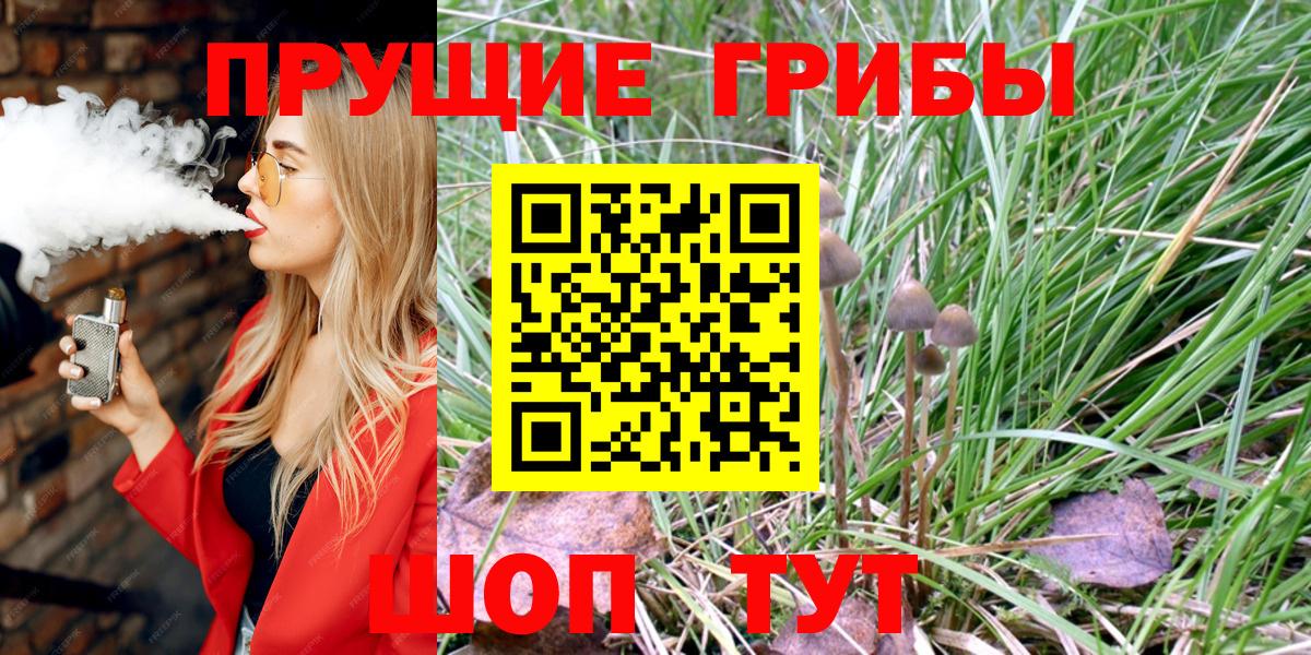 Галлюциногенные грибы GOLDEN TEACHER  как найти закладки  Вязники  Вход с VPN 